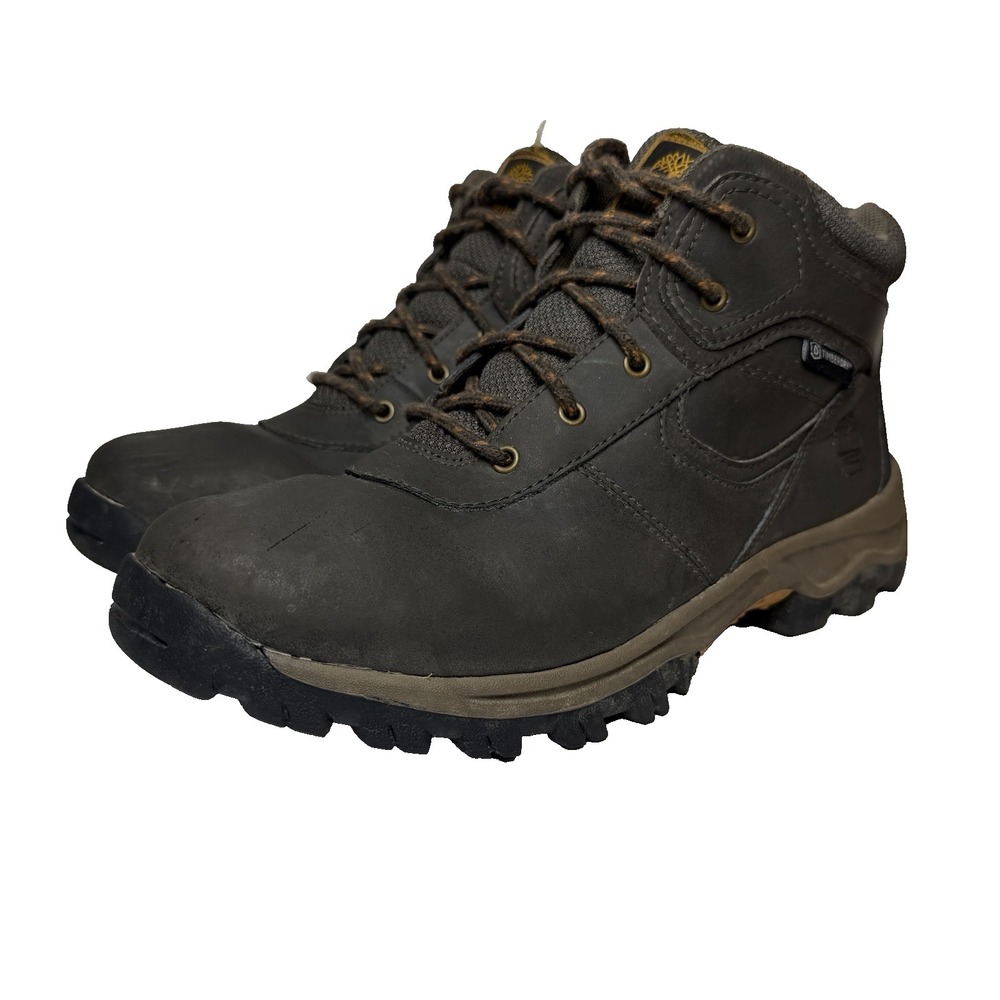 Timberland Timberdry Waterproof Boots Boys Size 6 Brown Leather Lace Up Ankle